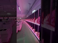 Pantalla de rejilla transparente LED para eventos de alquiler, pantalla de cortina de vidrio, ventana P3.91 a P7.82