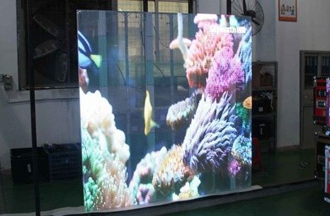la alta transparencia de 5.6m m llevó la exploración 63775dots/M2 de la exhibición 11 de la ventana de la tienda