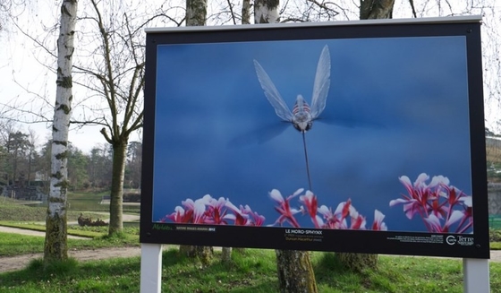 Paredes video llevadas al aire libre IP65 de P4mm que hacen publicidad de los puntos M2 CCC de la pantalla de visualización 62500