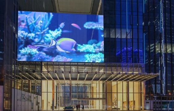 Pantalla LED interactiva creativa transparente ISO14001 ODM para centros comerciales