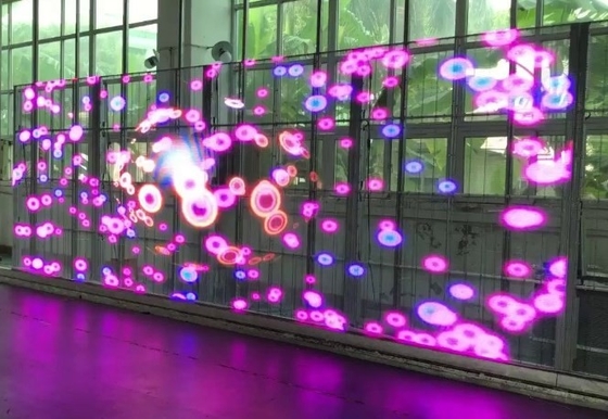La pantalla video transparente RGB de la pared de AC85V LED llevó la pantalla de visualización de la ventana